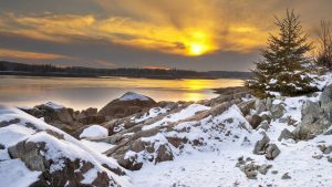 a yellow, winter sunset