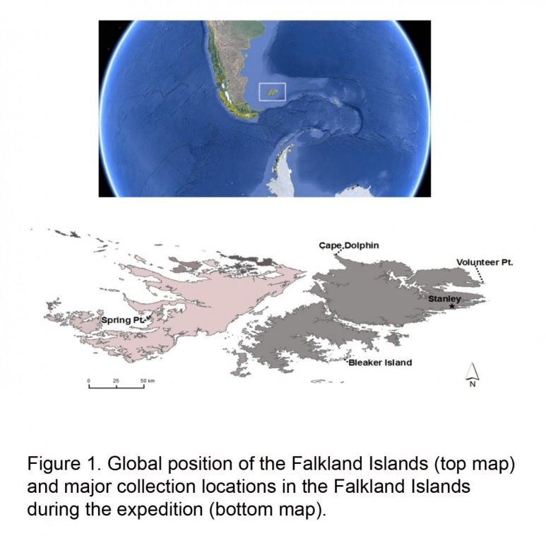 Falkland Islands 2014 Exp