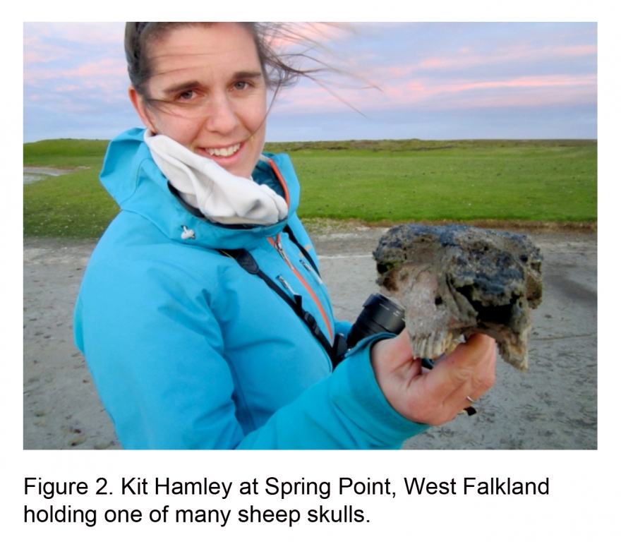 Falkland Islands 2014 Exp