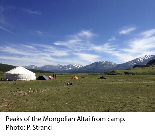Mongolian Altai 2015 exp