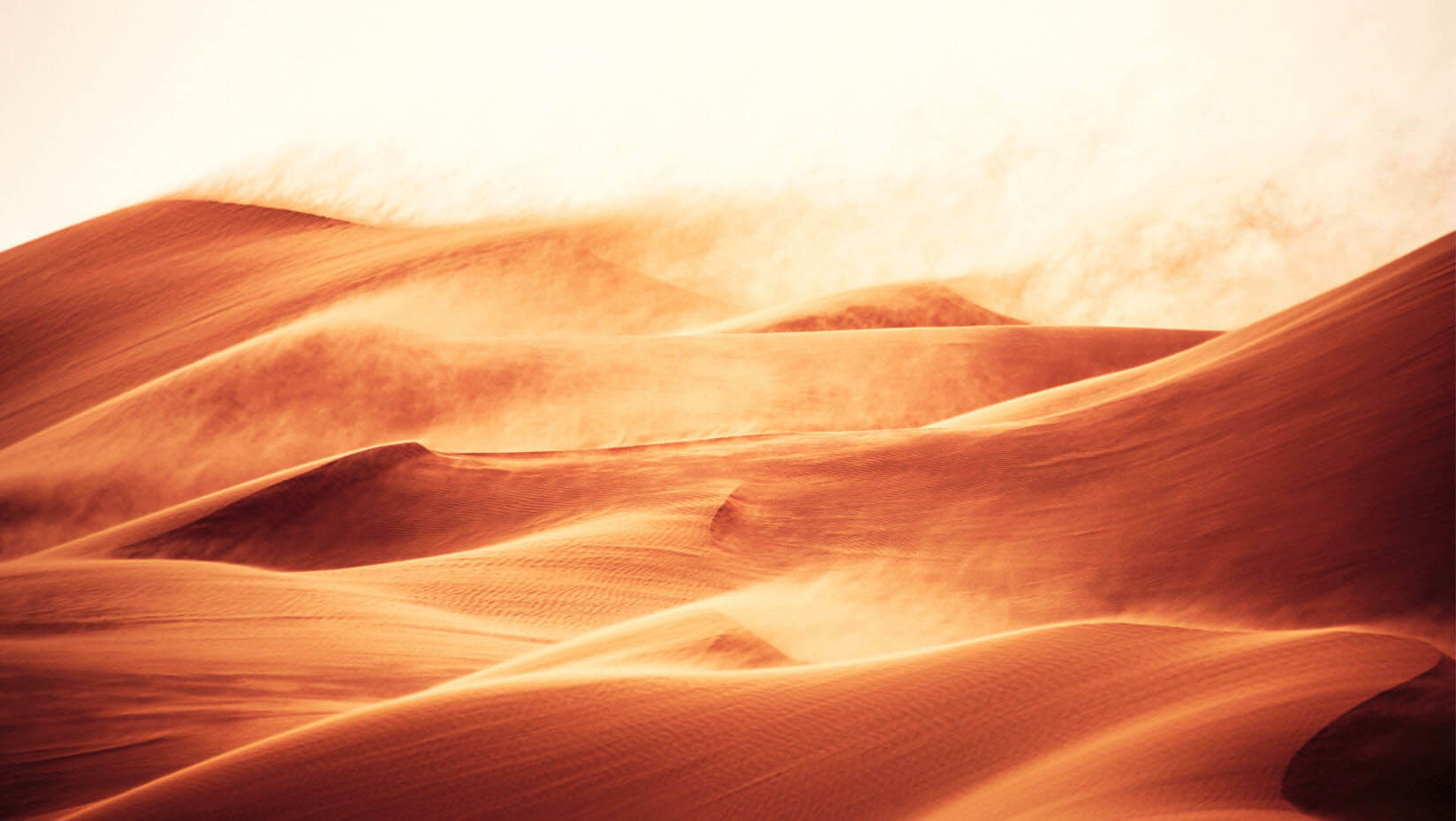 Desert Photo