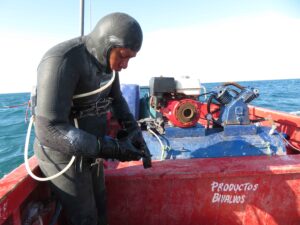 Diving for bivalves, Parachique, Sechura Bay.