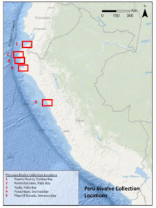 Peru Bivalve Collection Locations