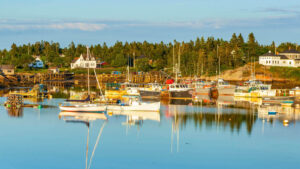 Photo of Maine harbor