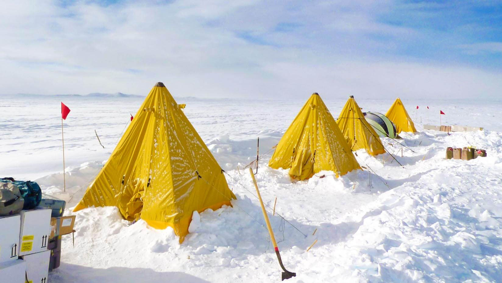 Photo of Yellow Expedition Tents.