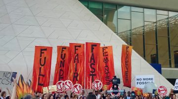 A photo of flags outside the COP28 conference