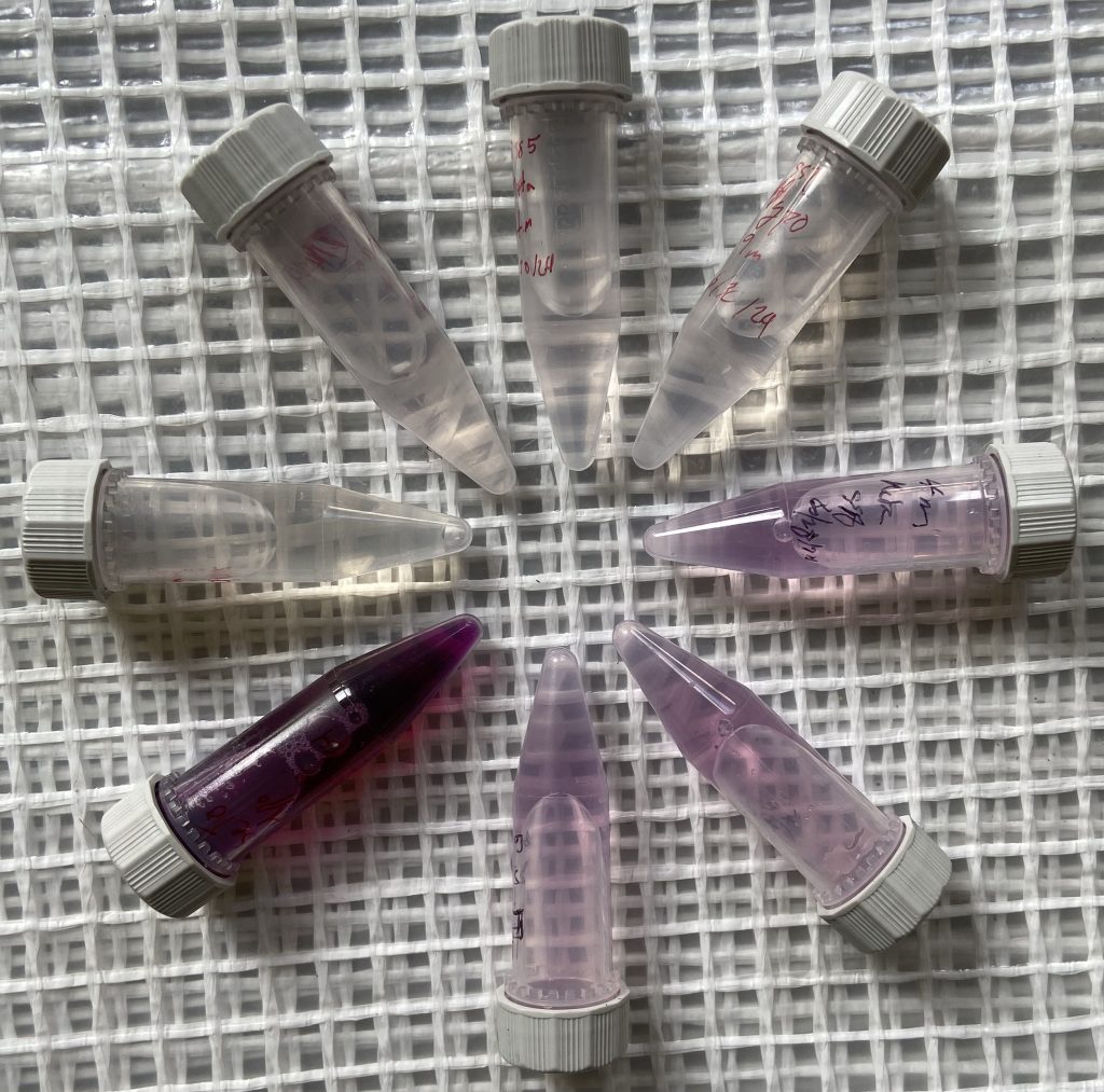 Ferrozine sample vials.