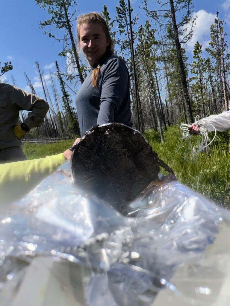 Field member, Morgan Anderson, holding peat core from Snowy range.