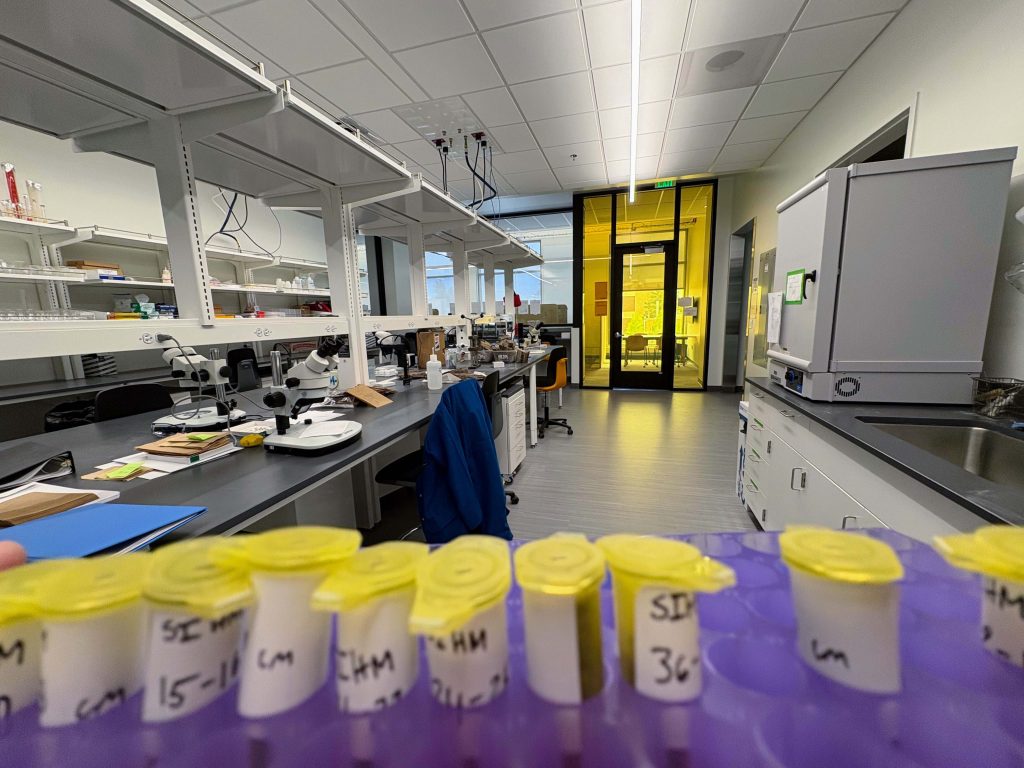Photo of sample vials in the Keck Stable Isotope Laboratory at U Wyoming