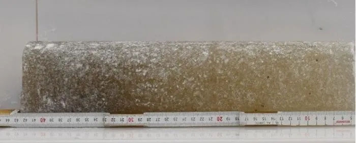 Photo of air bubbles trapped in ice core from Allan Hills, East Antarctica.